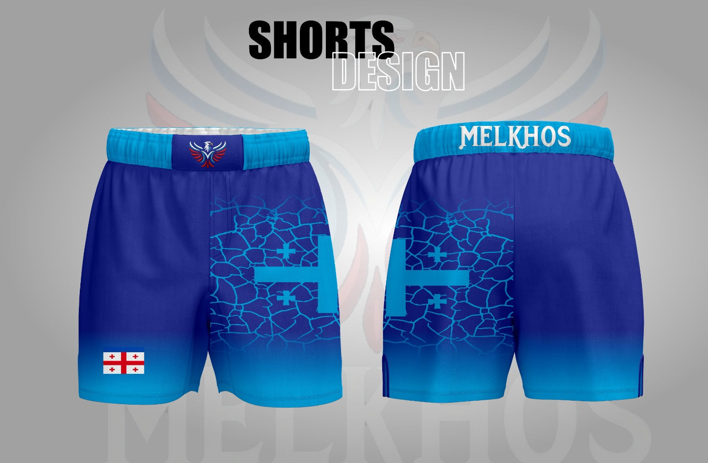 Georgia Fight Shorts
