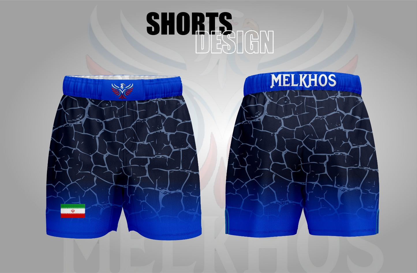 Iran Fight Shorts