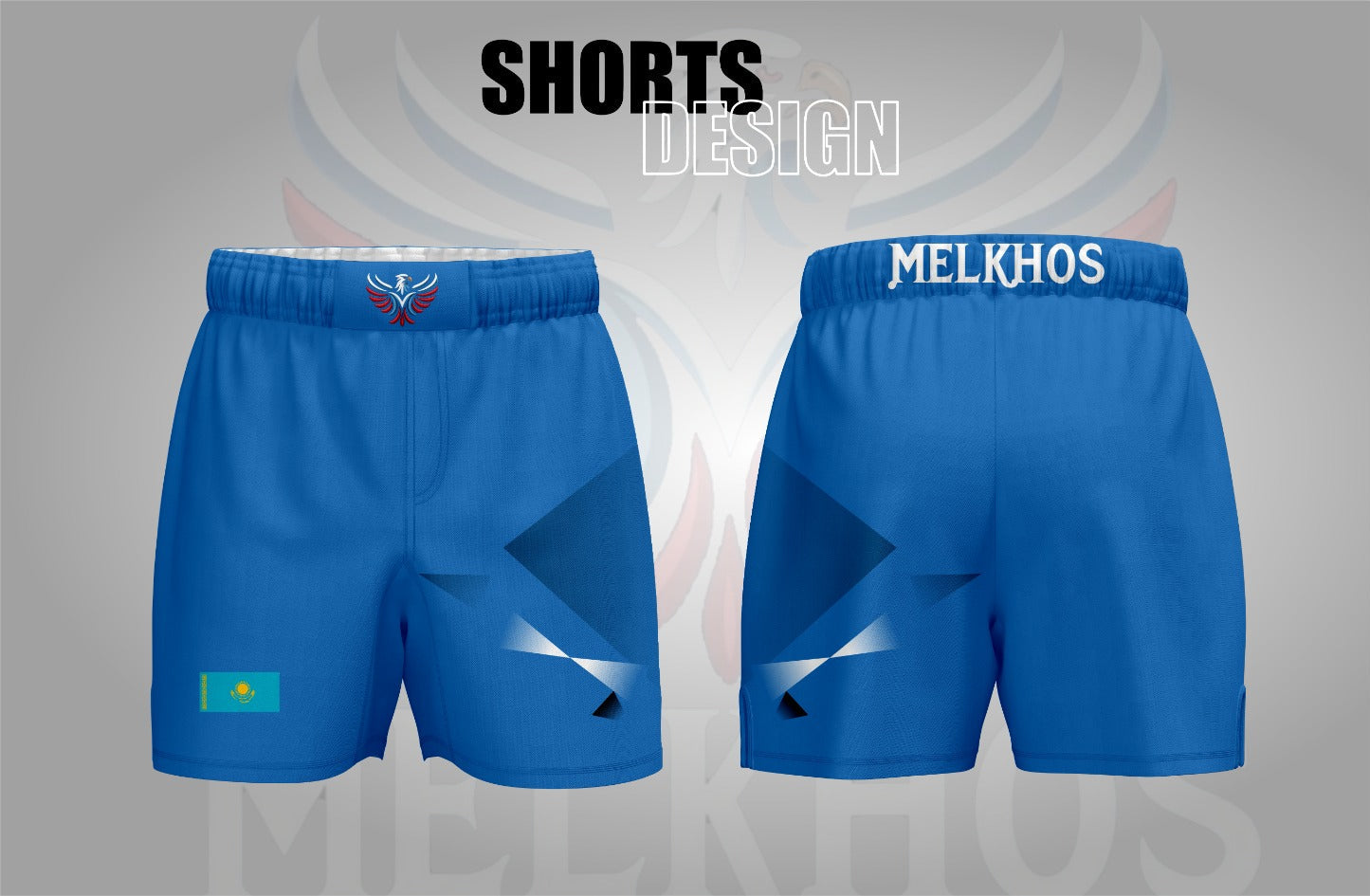 Kazakhstan Fight Shorts