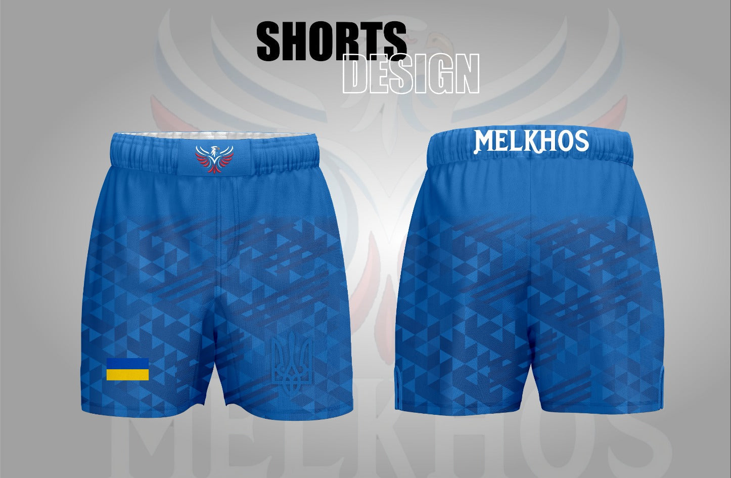 Ukraine Fight Shorts