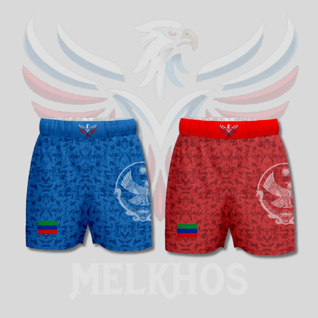 Dagestan  Fight  Combo