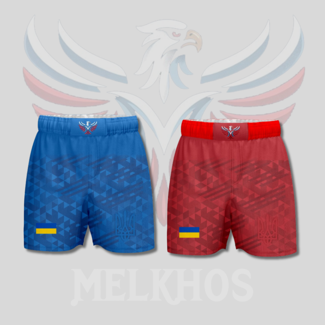 Ukraine Fight Shorts Combo